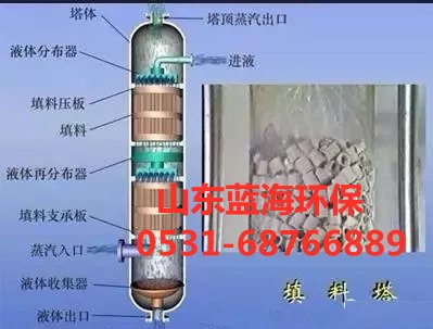 下部進(jìn)入塔體的酸性有害氣體與噴淋液呈逆流活動